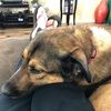 tris_0310